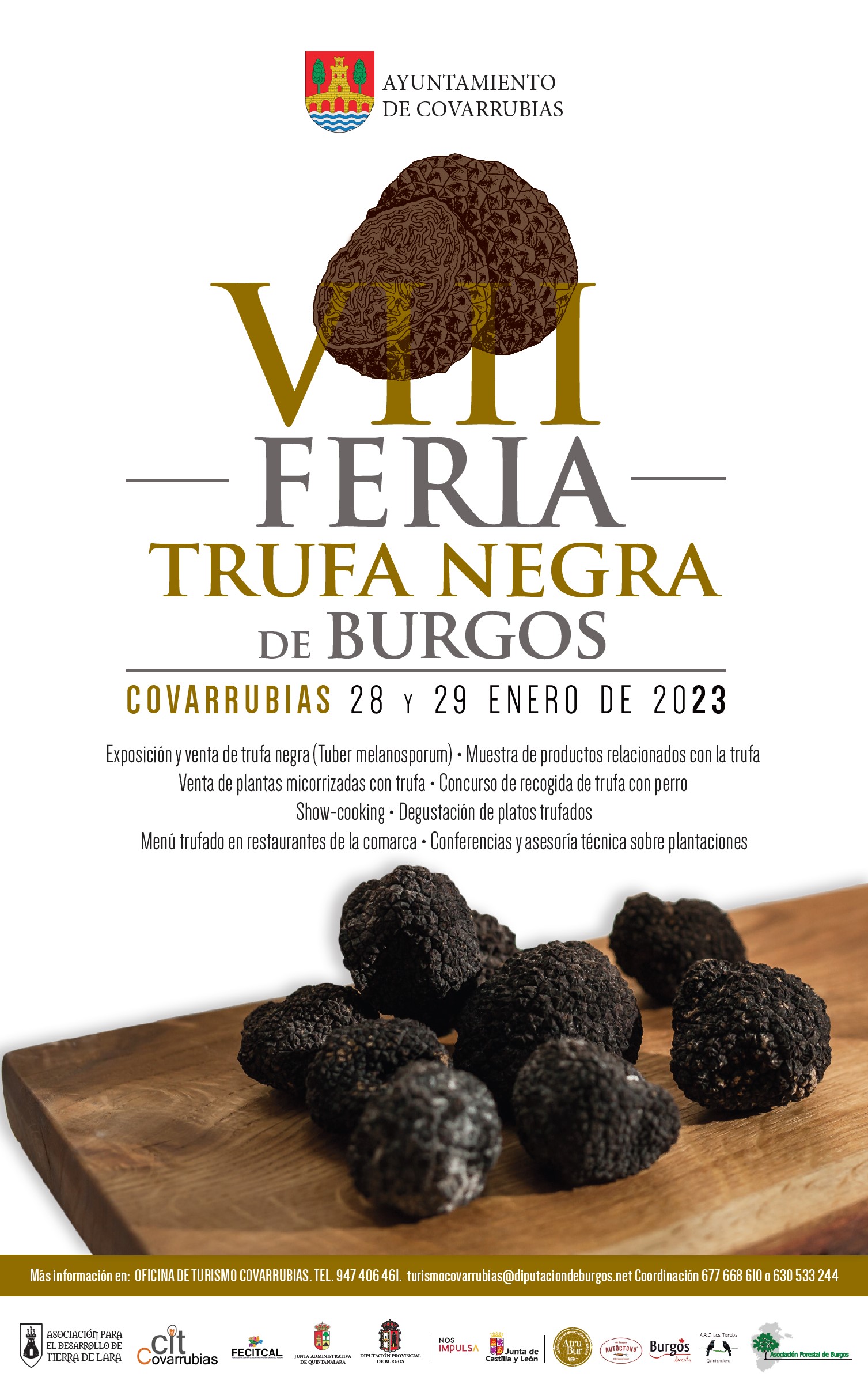 Feria de la trufa