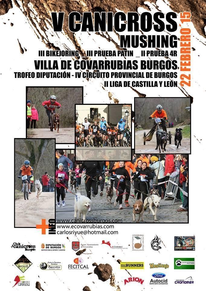 V Canicross Villa de Covarrubias