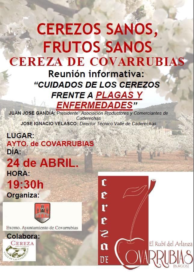 Reunion informativa "Cuidado de los cerezos frente a plagas y enfermedades"