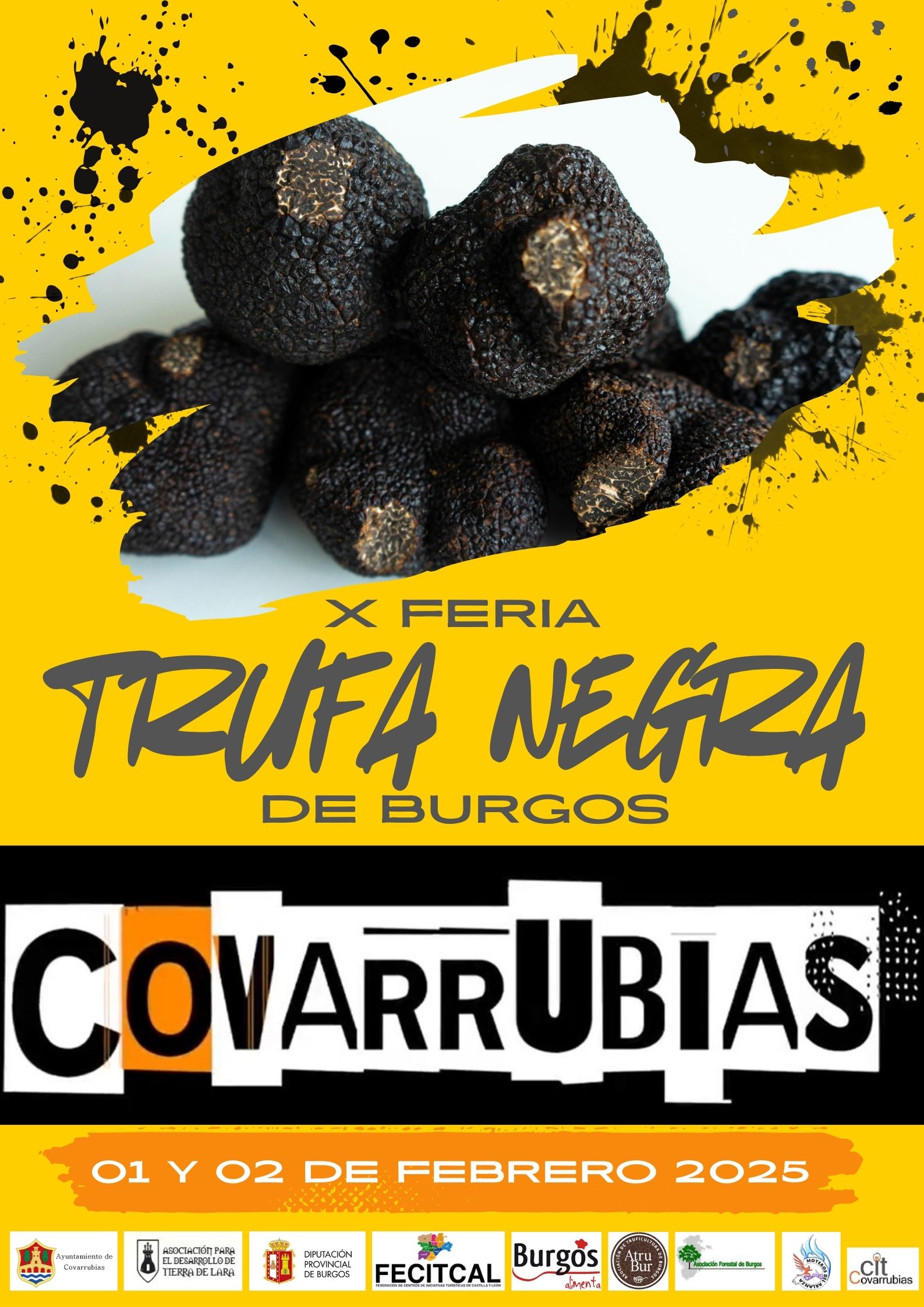 Feria de la Trufa Negra de Burgos